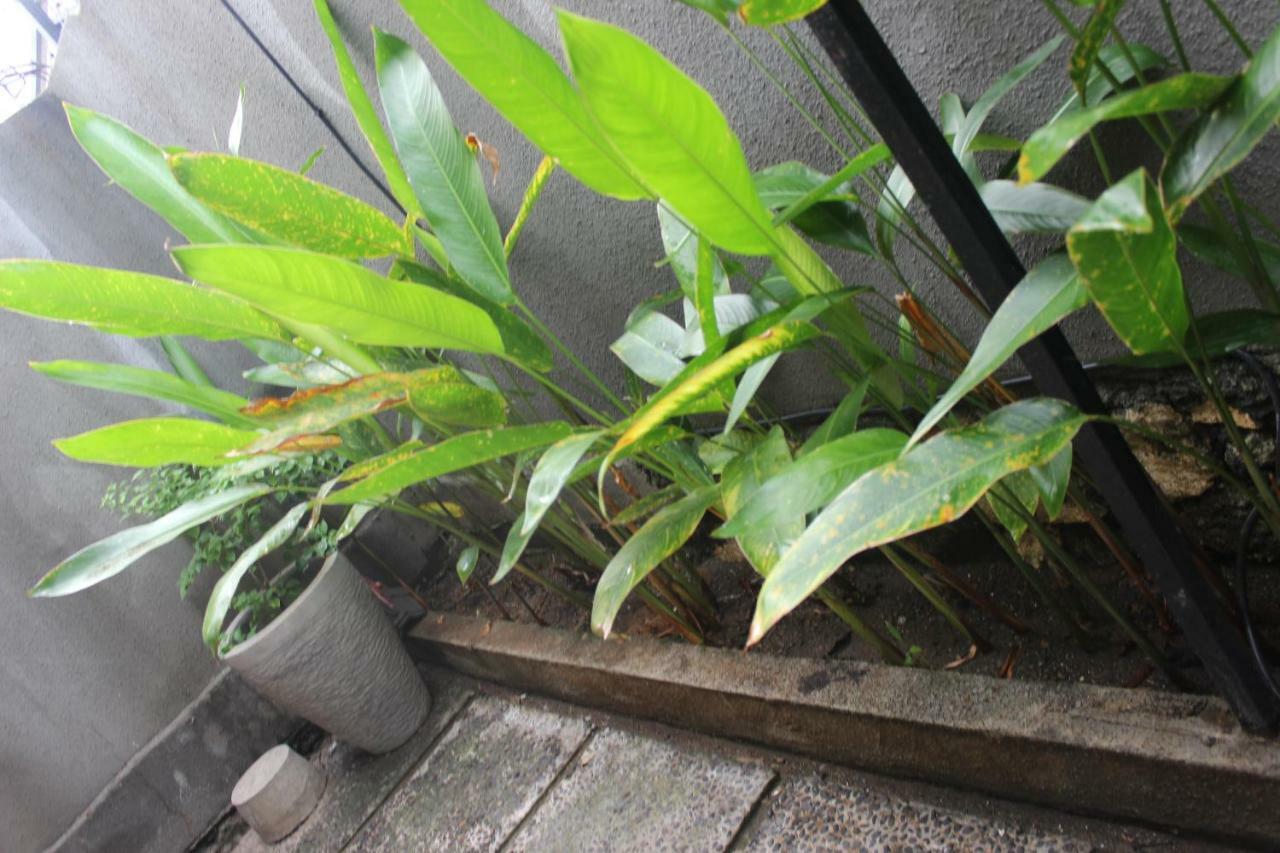 Paranyogan Homestay 2 Jimbaran Buitenkant foto