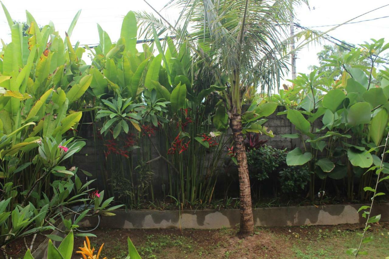 Paranyogan Homestay 2 Jimbaran Buitenkant foto